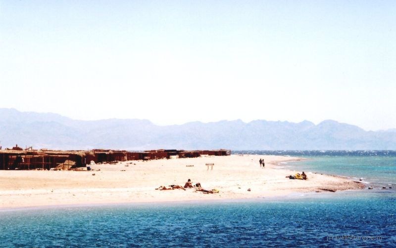 Abu Galum beach